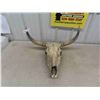 Image 1 : Long Horn with Skull - Horns Spread 24''