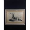 Image 1 : Vintage Framed Wolf/Buck Sketch Signed Fanny Wickhaw July 1901