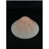 Image 1 : Art Deco Satin Glass Ceiling Shade