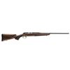 Image 1 : BRO XBOLT HUNTER 6.5CR 22" MATTE BLUED WALNUT