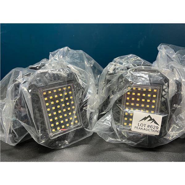 Lot of 2 LED Garage Lights/Deformable Lights