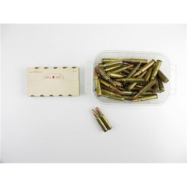 ASSORTED .300 SAVAGE AMMO LOT
