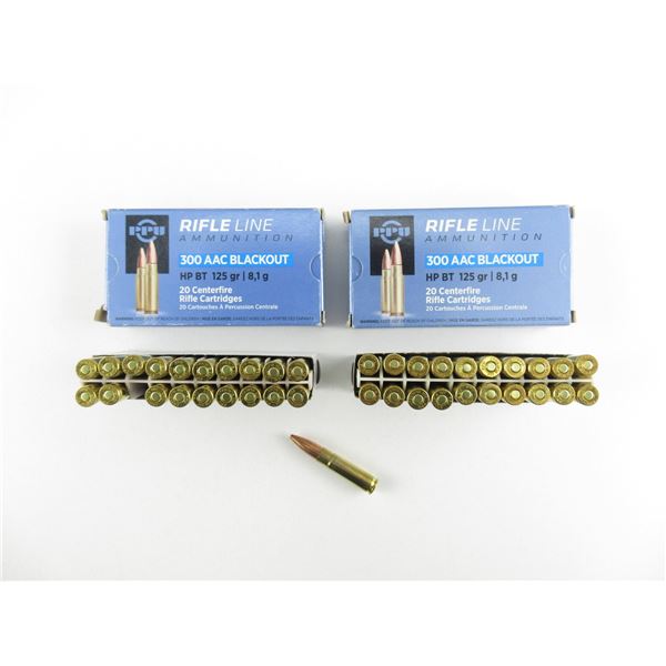 PPU .300 BLACKOUT AMMO LOT