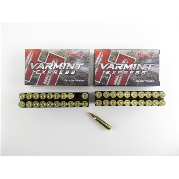 HORNADY .22-250 REM AMMO LOT