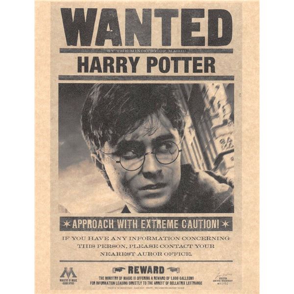 Harry Potter Wanted Prop Print - 50042824 1m 