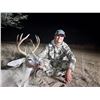 12  Arizona: 5 Day Coues Deer Hunt for 2 Hunters, Donated by Dan Adler and Diamond Outfitters