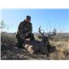Image 3 : Arizona: 5 Day Coues Deer Hunt for 2 Hunters, Donated by Dan Adler and Diamond Outfitters