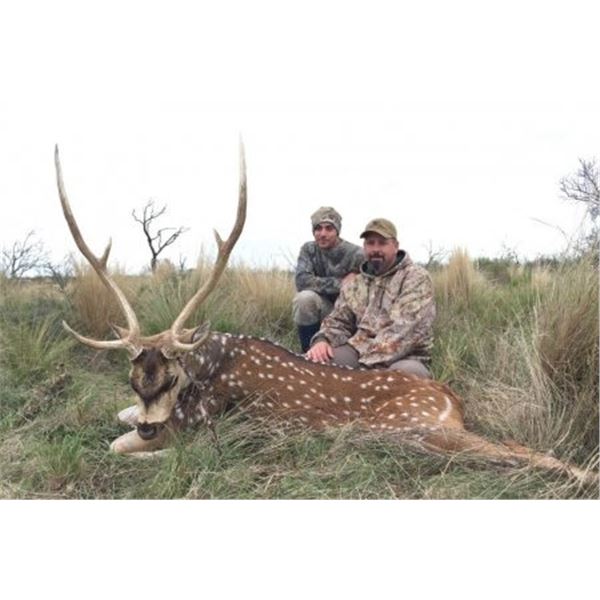 Argentina Big Game Hunt Donated by Catena Hunting Argentina