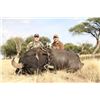 Image 4 : Argentina Big Game Hunt Donated by Catena Hunting Argentina