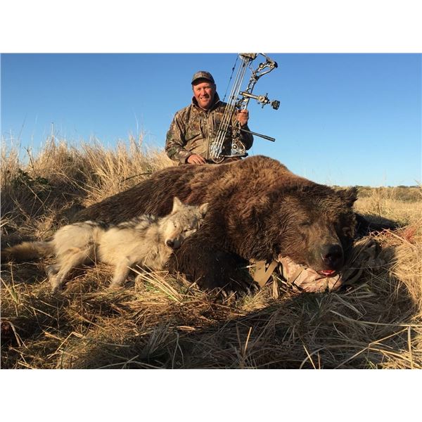 10-Day Alaska Peninsula Brown Bear Hunt Donated by Becharof Lodge