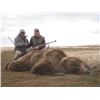 Image 2 : 10-Day Alaska Peninsula Brown Bear Hunt Donated by Becharof Lodge