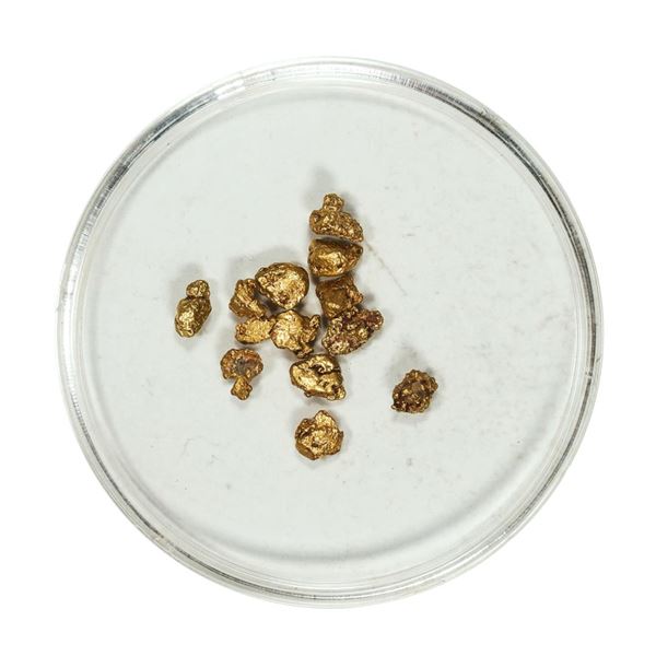 Gold Nuggets 1.84 Grams Total Weight