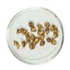 Image 1 : Gold Nuggets 3.21 Grams Total Weight