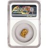 Image 2 : 2.61 Gram Yukon Gold Nugget NGC Graded