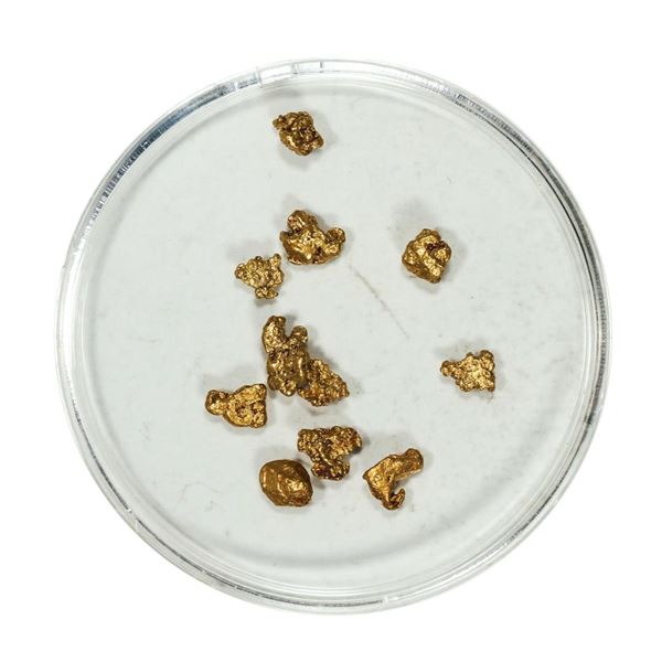 Gold Nuggets 1.85 Grams Total Weight