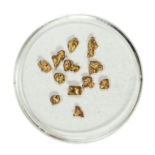 Gold Nuggets 1.73 Grams Total Weight