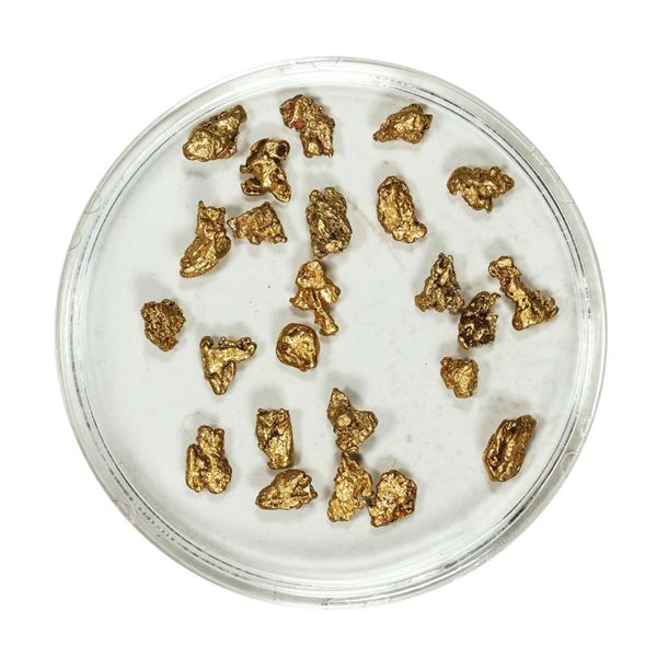 Gold Nuggets 3.95 Grams Total Weight