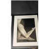 Image 3 : Vintage Nude Framed Photograph Set