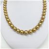 Image 3 : 9-12mm South Sea Golden Round Pearl Necklace with Gold Clasp