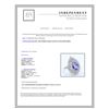 Image 3 : 4.32CT NATURAL TANZANITE 14K WHITE GOLD RING