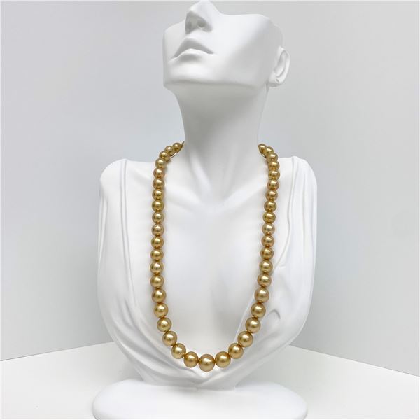 9-12mm South Sea Golden Round Pearl Necklace with Gold Clasp