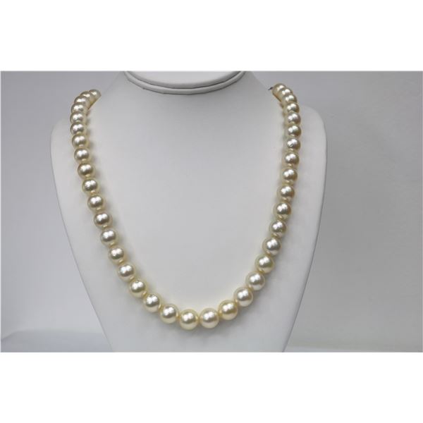 10-12mm Champagne South Sea Round Necklace with Gold Clasp