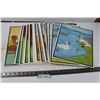 Image 1 : Stack of Children's Story Cards