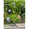 Image 1 : Garden Decor Birds & Solar Lights