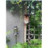 Image 1 : Hanging Basket Birdnest & Lamp