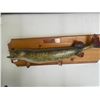 Image 1 : Taxidermy Great Northern Pike 25lb Fish 48L