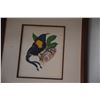 Image 3 : FRAMED PRINTS, "BIRDS"; MARIAN BERGER (2 PCS) (16" X 14" & 16" X 14 1/4")