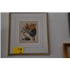 Image 1 : FRAMED EDWARDS SYDENHAM BIRD OF PARADISE (16 3/4" X 19 1/4")