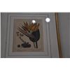 Image 2 : FRAMED EDWARDS SYDENHAM BIRD OF PARADISE (16 3/4" X 19 1/4")