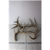 Image 1 : (4) Deer Sheds