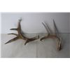 Image 2 : (4) Deer Sheds