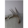 Image 3 : (4) Deer Sheds