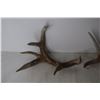 Image 4 : (4) Deer Sheds