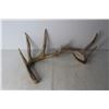 Image 5 : (4) Deer Sheds
