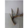 Image 6 : (4) Deer Sheds