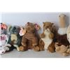Image 3 : (6) Beanie Babies