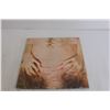Image 2 : Ted Nugent "Cat Scratch Fever" Vinyl Record