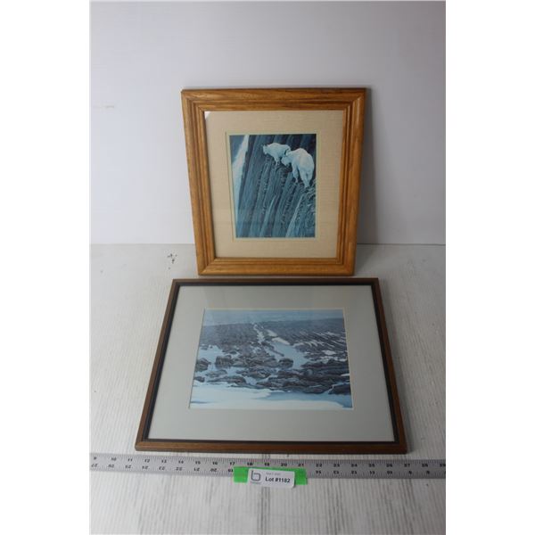 (2) Pieces of Framed Nature Art (12-1/4 x 14-1/2 )