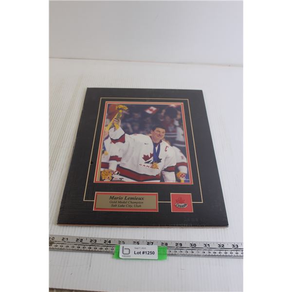 Mario Lemieux Gold Medal Champion Salt Lake City, Utah Wall Decor - 12 1/2" x 16"