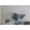Image 2 : Assorted Screws, Washers, Nails