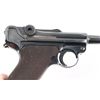 Image 8 : DWM 1920 Commercial Luger 7.65mm SN: 554