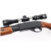 Image 3 : Remington Model 572 .22 S, L, LR SN: 1604403