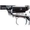 Image 6 : Heritage Rough Rider .22LR #P24605