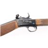 Image 4 : Remington Rolling Block 50-70 NVSN