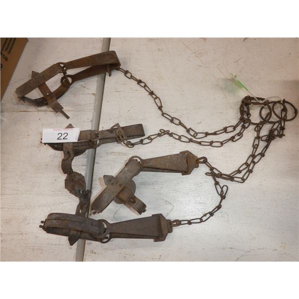 Metal Leg traps