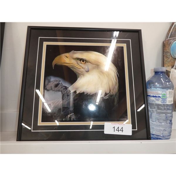 photograph professionally framed